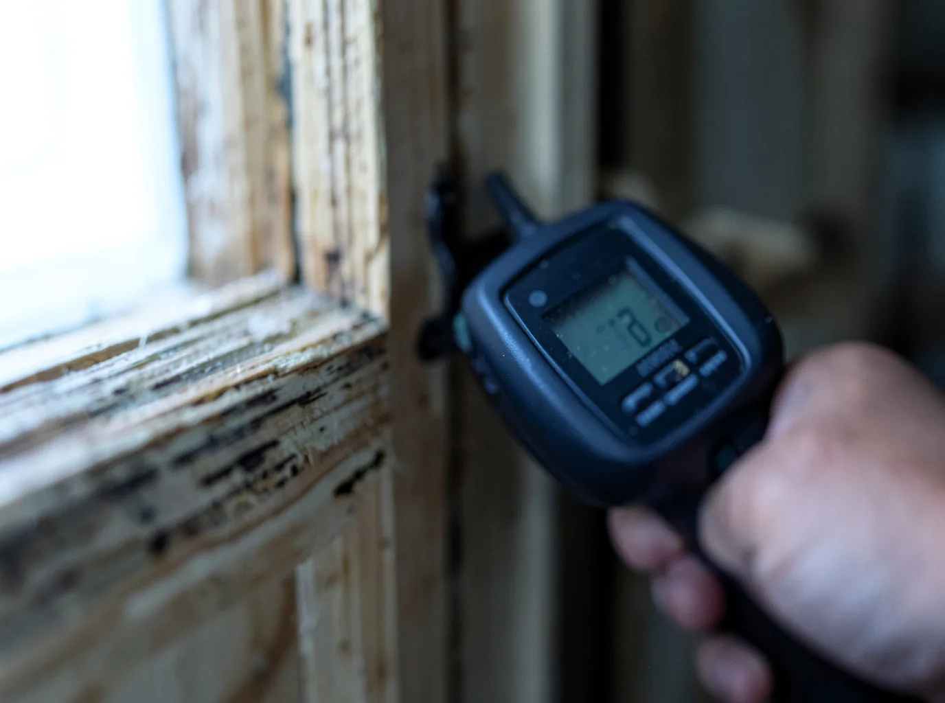 Moisture Inspection And Documentation in Cooleemee, NC